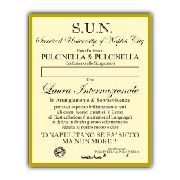 Articoli da regalo divertenti - Targa Sun | Napolimania
