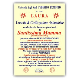 Targa divertente - Laurea Mamma | Napolimania