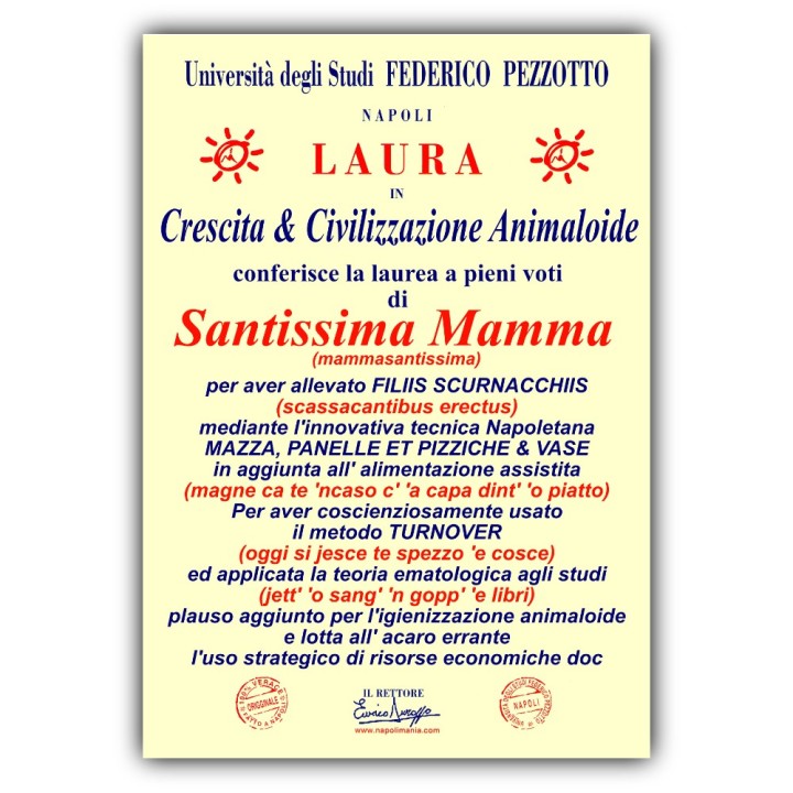 Targa divertente - Laurea Mamma | Napolimania