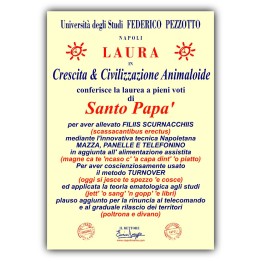 Targa divertente - Laurea Papà | Napolimania