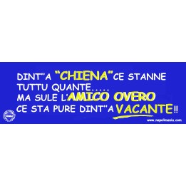 TARGA AMICO VACANT